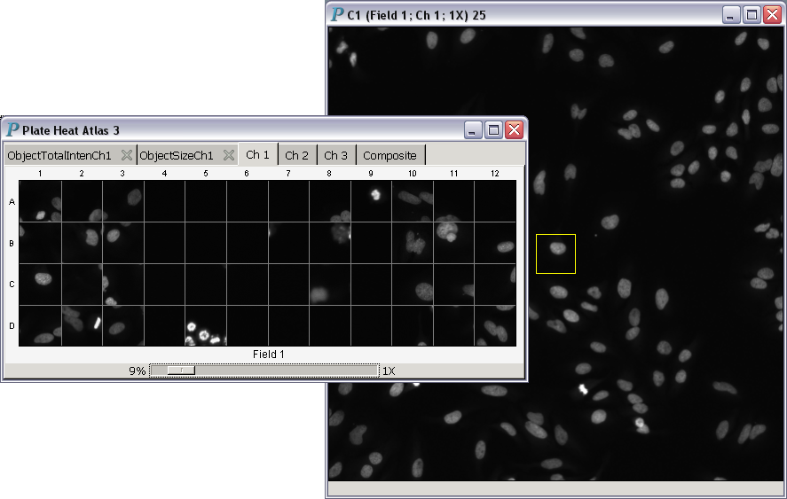 Plate heat atlas demonstrating the ability to
                 display a trellis of scan images at a magnification
                 power equal to one for HCS data analysis and visualization