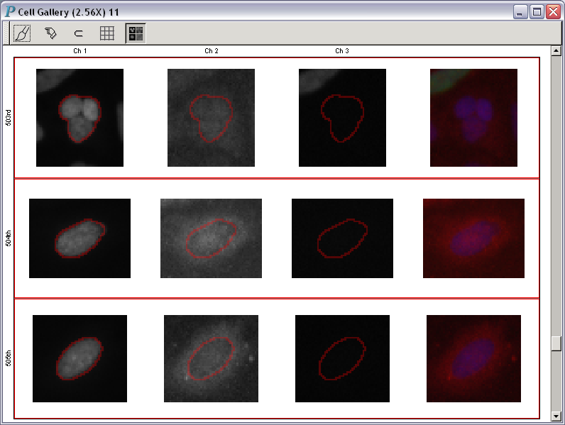 A cell gallery for HCS data analysis and visualization