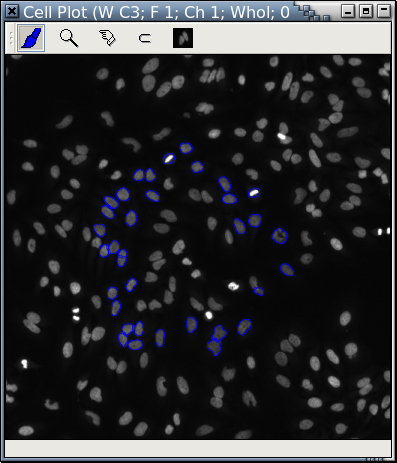 A cell plot for HCS data analysis and visualization