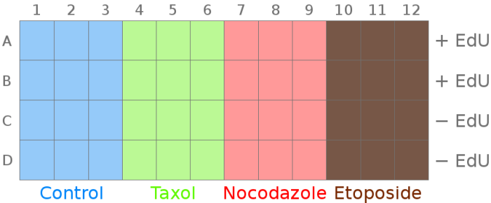 Experiment layout over a plate for HCS data analysis and visualization